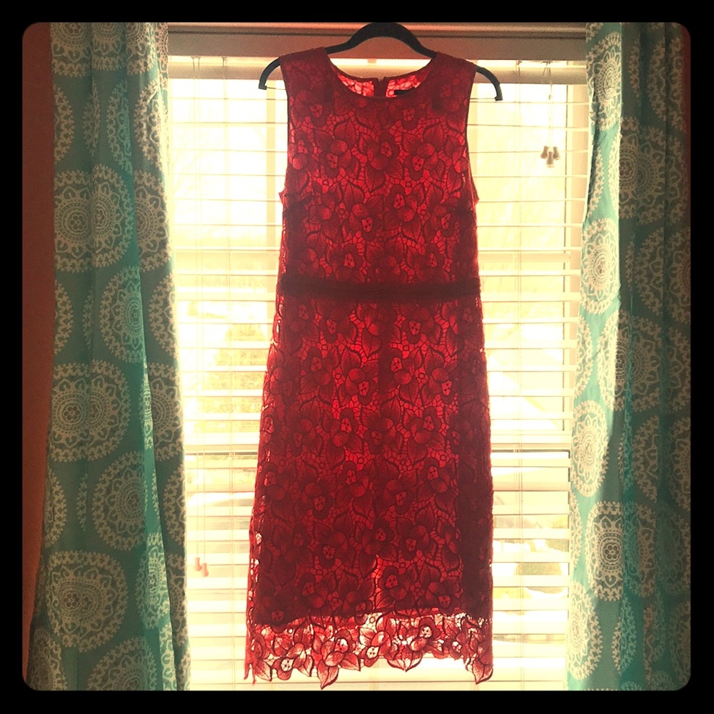 Ann Taylor Fitted Lace Dress